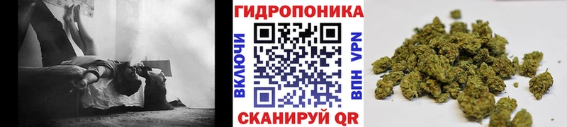 Где купить наркотики Арзамас АМФ  Бошки Шишки  Cocaine  СК  МЕФ  ГАШ 