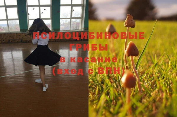MDMA Premium VHQ Краснослободск