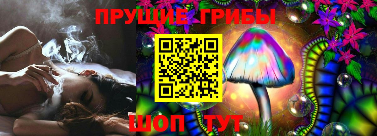 Арзамас  где продают наркотики  Вход с VPN  Псилоцибиновые грибы Cubensis 