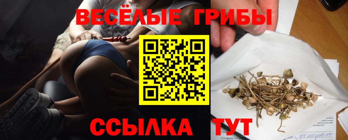 Галлюциногенные грибы мицелий Арзамас